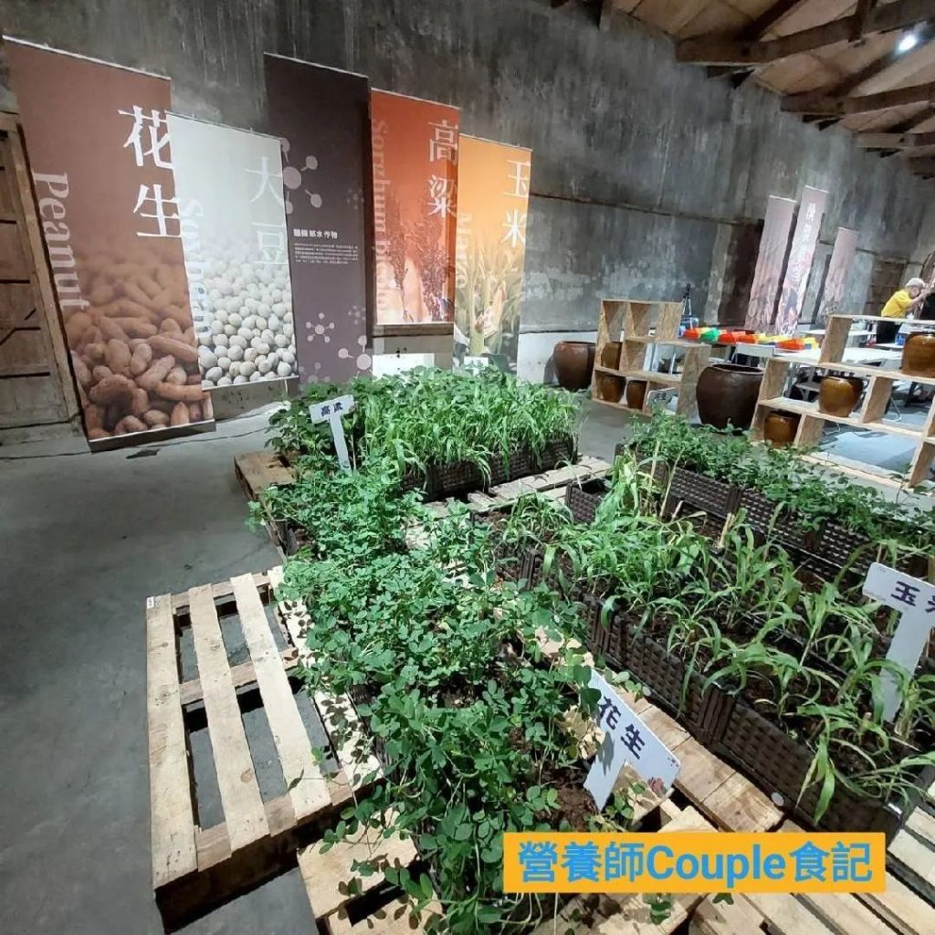2022雲林農業設計展，六大主題展館，從產地到餐桌的五感體驗